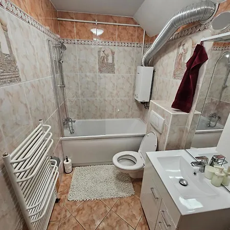 Old Town View * Danzica